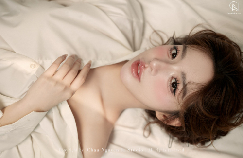 HP_329-copy